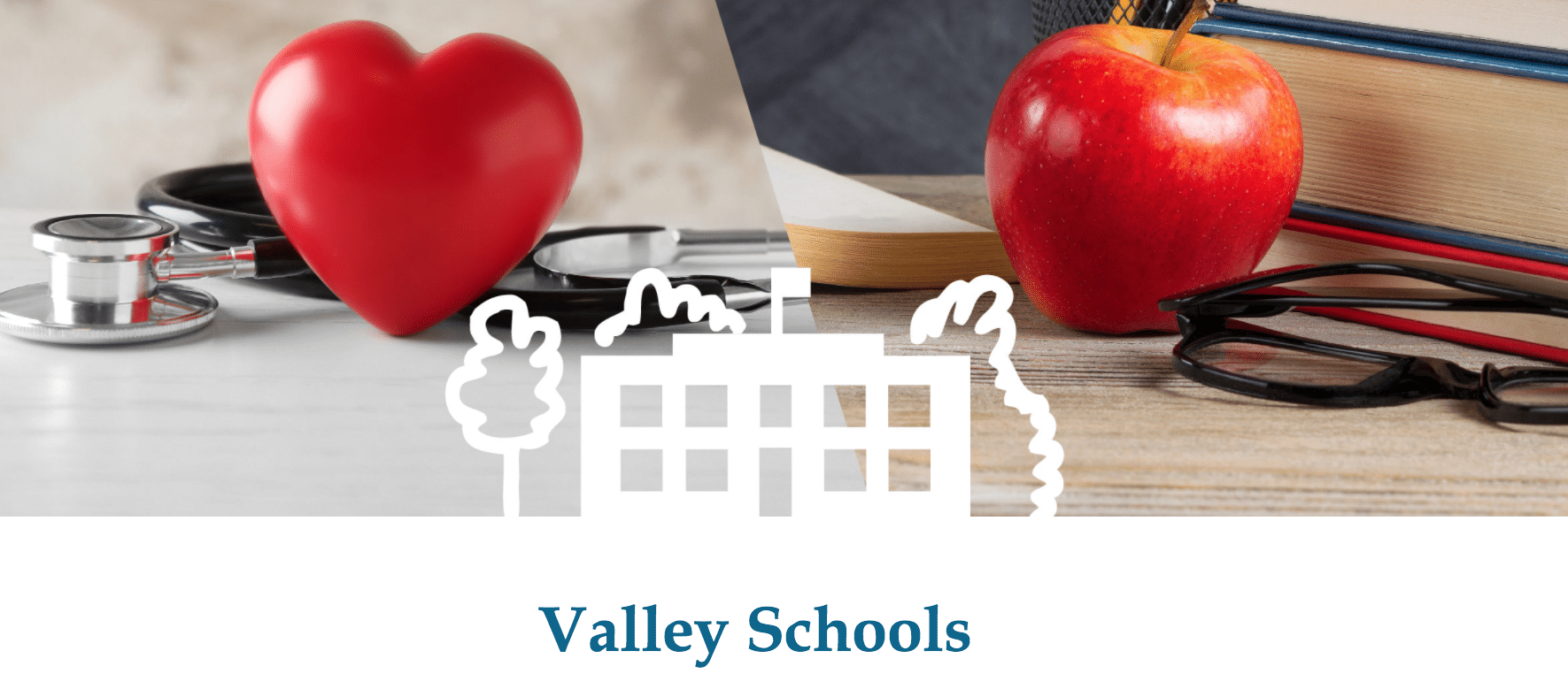 The new Valley Schools logo to show off our new website
