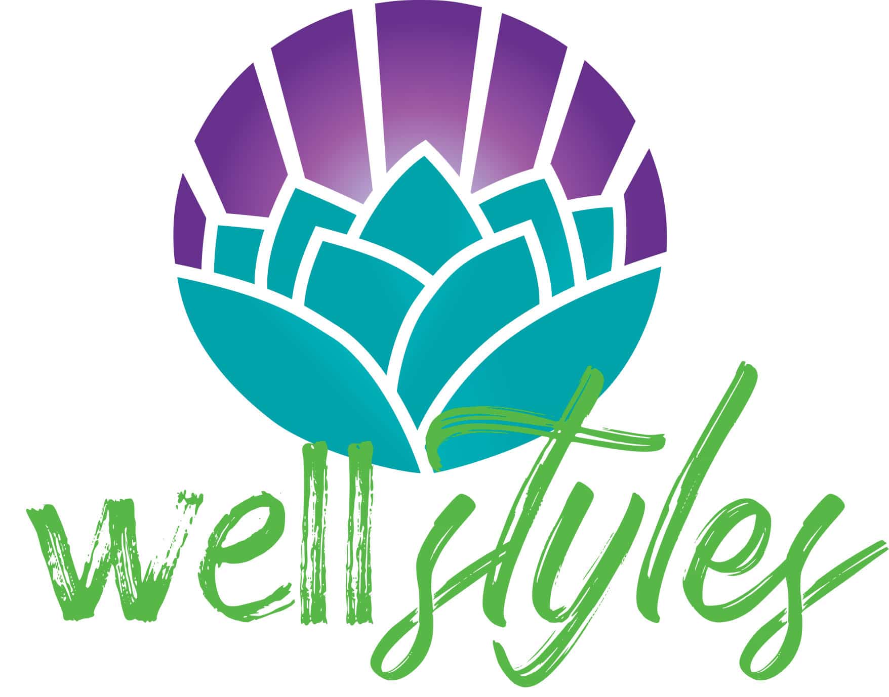 The Valley Schools WellStyles logo promoting healthy employees